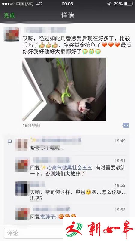 北京一学校收发室工作人员虐猫 拍照记录发朋友圈